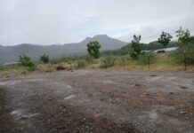 Pronostican lluvia, viento y hasta 42°C en Chihuahua; Protección Civil llama a extremar precauciones