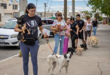 Reconocen participación ciudadana en campaña de vacunación antirrábica y anuncian visitas a colonias rurales de Delicias