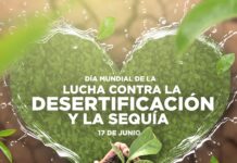 17 de junio, día internacional para la lucha contra la desertificación y la sequía