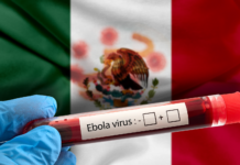 Activa Salud protocolo en México ante posibles casos de ébola