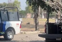 Hallan bolsas con restos humanos cerca de kínder en Salamanca