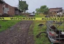 Enfrentamiento entre grupos criminales deja cinco muertos y dos heridos en Michoacán