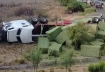 Vuelca tráiler con 100 pacas de alfalfa en acceso norte de Meoqui
