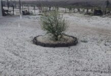 Reportan tormenta con granizo en Rubio y Ejido Reforma, Cuauhtémoc