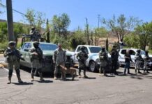 Reportan detención de “El 40”, presunto líder de Los Cabrera, tras enfrentamiento en Durango