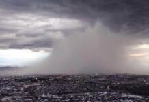 Pronostican lluvias importantes para el campo y la ganadería en Chihuahua