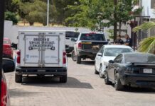 Hallan sin vida a mujer de 22 años en Chihuahua; llevaba dos días desaparecida