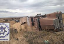 Tractocamión con 35 toneladas de cebada vuelca; conductor ileso