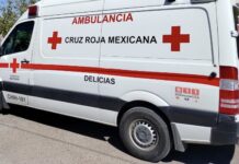 Hombre en situación de calle resulta gravemente lesionado tras ser atropellado en carretera federal