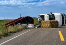 Vuelca camioneta con traila cargada de pacas sobre la carretera Chihuahua–Parral