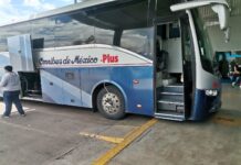 Mujer de 74 años fallece en autobús al llegar a terminal de Delicias