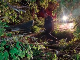 Atendió Protección Civil y Bomberos de Meoqui múltiples reportes tras fuertes vientos y lluvia registrados