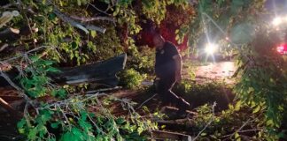 Atendió Protección Civil y Bomberos de Meoqui múltiples reportes tras fuertes vientos y lluvia registrados