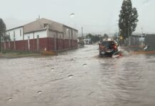 Reporta Protección Civil inundaciones, árboles caídos y daños por lluvias en Chihuahua