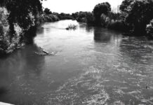 Localizan sin vida a hombre arrastrado por la corriente del Río Conchos