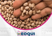 Llevará Gobierno de Meoqui venta de frijol subsidiado y programas de apoyo a Lázaro Cárdenas