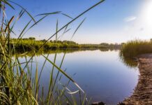 Invita Gobierno de Meoqui a sumarse al cuidado del medio ambiente
