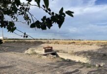 Delicias registra 37°C y prevén semana con máximas de 39°C