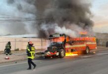 Se incendia camión de transporte en Chihuahua, no se reportaron personas lesionadas