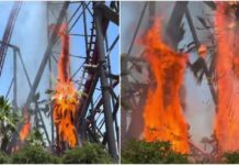 Captan inicio de incendio bajo montaña rusa en parque Six Flags de Los Ángeles
