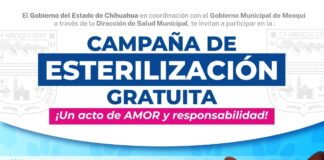 Invitan en Meoqui a campaña gratuita de esterilización para mascotas