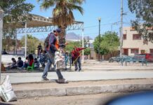 Convoca Servicios Públicos a participar en el programa de Empleo Temporal en Delicias