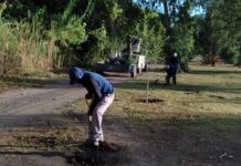Impulsan en Meoqui reforestación y rehabilitación de Acceso Norte