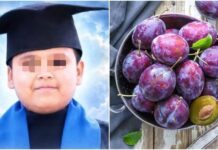 Niño muere ahogado con semilla de ciruela en su graduación de primaria