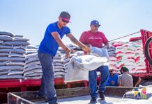 Entregan en Meoqui fertilizante, maíz y alimento para ganado a productores del municipio