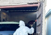 Realiza Gobierno de Meoqui fumigaciones para el control de garrapatas en cuatro sectores del municipio