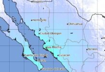 Sismo de 6.1 en Sinaloa se percibe en Chihuahua y otros 8 estados; activan protocolos