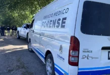 Localizan sin vida a hombre de más de 60 años en Saucillo