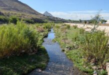 Revive el río Sacramento tras recientes lluvias
