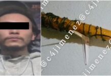 Arrestaron en CDMX a sujeto que mató a batazos a su mamá y abuela
