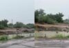 Niños se exponen al nadar en canal crecido en Los Mochis