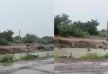 Niños se exponen al nadar en canal crecido en Los Mochis