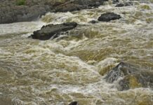 Mueren cinco al intentar rescatar a nadador en río de Ohio