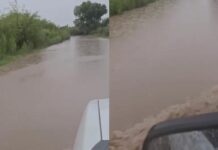 Desborda río Conchos y cubre carretera en La Cruz
