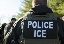 Exige SRE esclarecer muerte de 17 mexicanos bajo custodia del ICE en EU