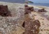 Aparecen cientos de peces muertos en playa de Puerto Morelos