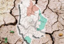 Lluvias alivian sequía en 4 municipios pero otros 4 empeoran en Chihuahua