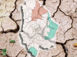 Lluvias alivian sequía en 4 municipios pero otros 4 empeoran en Chihuahua