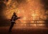 Incendio forestal en Francia obliga a desalojar a 220 mil personas y se acerca a Burdeos