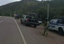 Identifican a 5 ejecutados hallados en carretera Madera-Temósachic