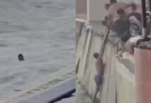 Rescatan del mar a joven que ignoró advertencias en Mazatlán