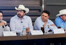 Envían hasta 2.8 millones de moscas a Chihuahua contra gusano barrenador