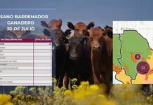 Suman 39 casos activos de gusano barrenador y llega a 17 municipios