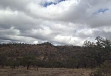 Emite Protección Civil pronóstico de vientos, lluvias y calor para martes y miércoles en Chihuahua
