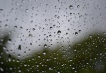 Lluvias generalizadas llegarían a Chihuahua a partir del 12 de julio