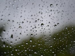 Lluvias generalizadas llegarían a Chihuahua a partir del 12 de julio